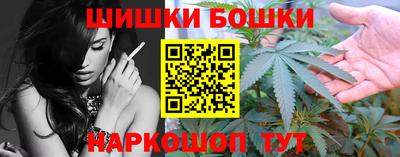 шишки Новокубанск