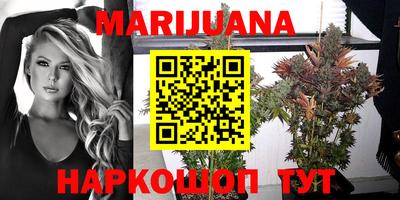 шишки Новокубанск