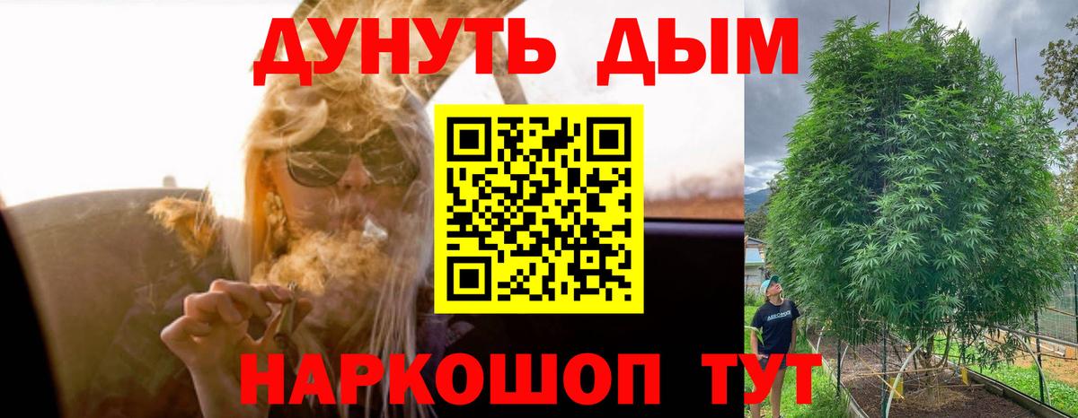 Каннабис OG Kush Верхняя Пышма